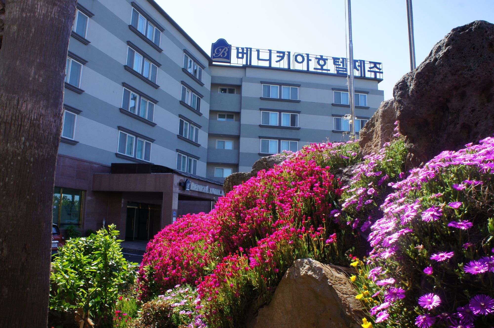 Benikea Hotel Jeju Ngoại thất bức ảnh